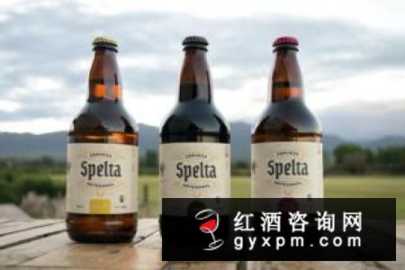 扎啤的酿造过程，扎啤可以在家自己做吗?