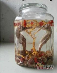 海马泡酒怎么泡、多久可以喝？有什么禁忌没有？