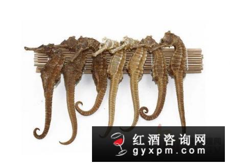 海马泡酒怎么泡、多久可以喝？有什么禁忌没有？