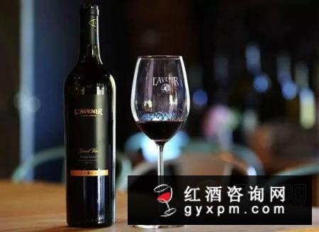 南非皮诺塔吉葡萄酒怎么样，这瓶葡萄酒真是不得了