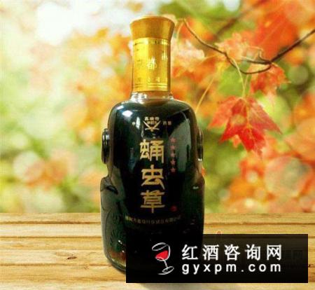 温和滋补试试蛹虫草酒，蛹虫草酒的功效与作用大全