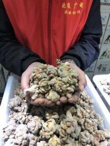 长白山人参酒的养生功效有哪些，可以经常喝吗