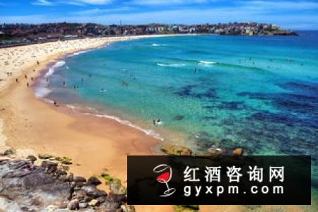 如果一生只能喝一种澳洲酒，那一定要从这里挑