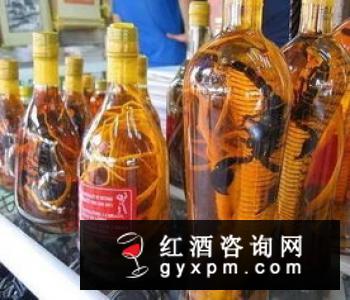 五子补肾酒的配方及功效