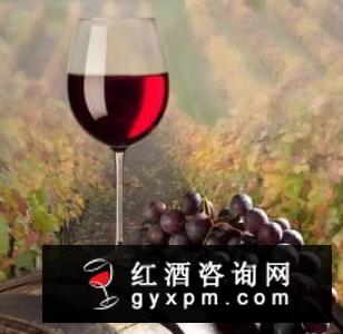 葡萄酒香气转瞬即逝的原因